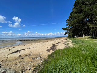  Terrain � vendre 480 m�