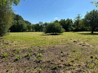  Terrain à vendre 5501 m²