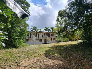 Vente Immeuble Immeuble R+1 avec terrain - Stoupan (Matoury) Matoury