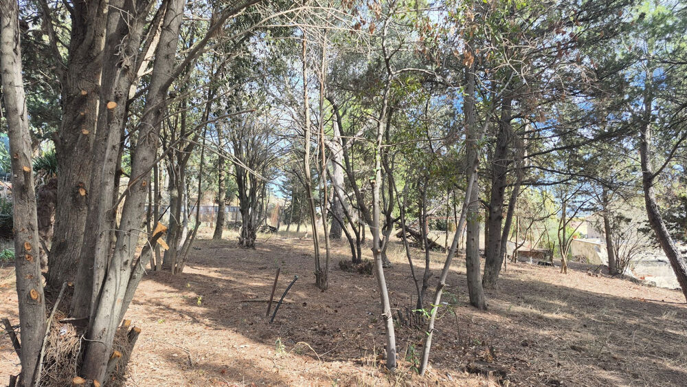 Vente Terrain Terrain Ouveillan 842 m2 arboré et vue agréable Ouveillan