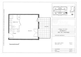 Appartement à louer 1 pièce 30 m²