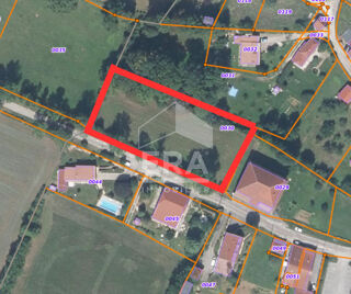 Vente Terrain Superbe terrain plat constructible ? Plus de 35 ares ? Idéal projet 2 maisons ? Proche Champagnole / Arbois Andelot en montagne