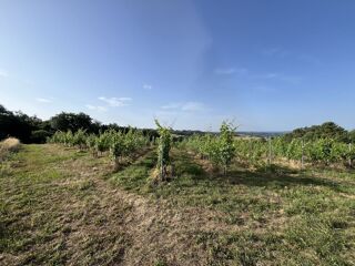  Terrain � vendre 1 pi�ce 1 m�