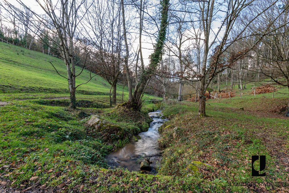  vendre  Maison Ambierle (42820)