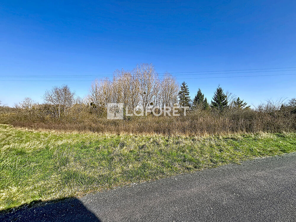 Vente Terrain Terrain Foulain 1625 m2 Foulain