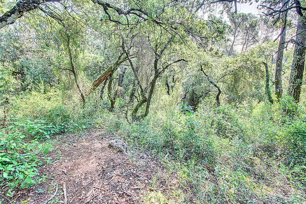 Vente Terrain A VENDRE EN EXCLUSIVITE ! Terrain non constructible de 17444 m² Lorgues