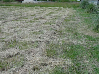  Terrain � vendre 1674 m�