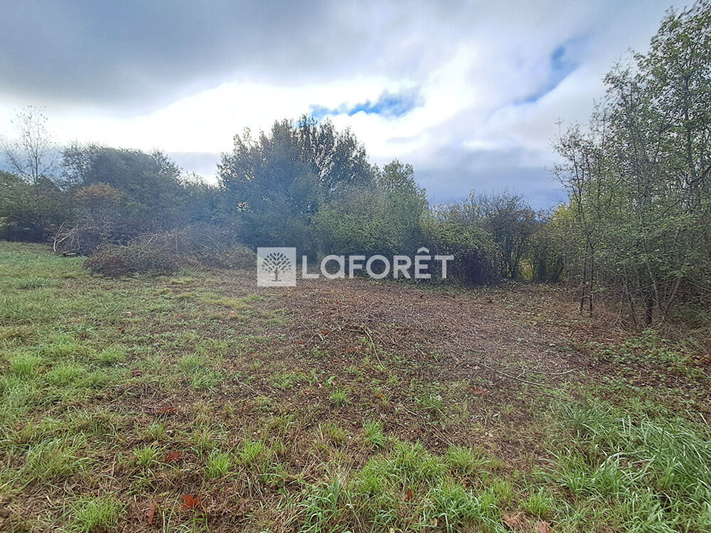 Vente Terrain Terrain Le Born 950 m2 Villemur sur tarn