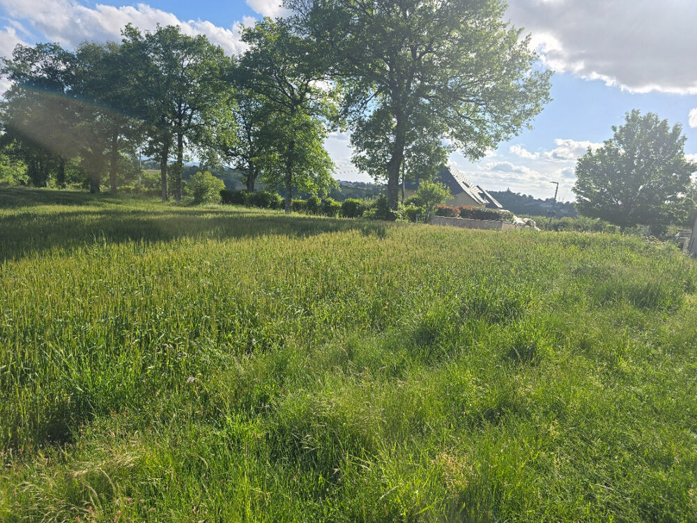 Vente Terrain Terrain Baraqueville 1500 m2 Baraqueville