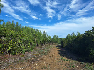  Terrain  vendre 11388 m