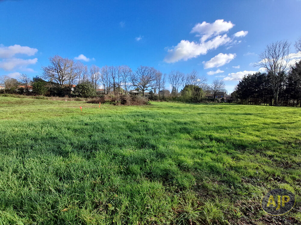 Vente Terrain Terrain Le Champ Saint Pere 949 m2 Le champ saint pere