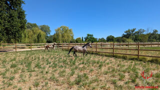  Maison � vendre 12 pi�ces 330 m�