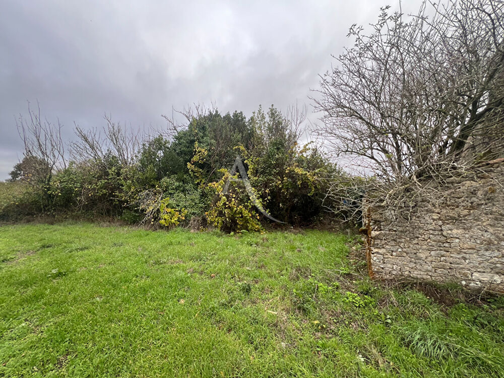 Vente Terrain Terrain Saint Vincent Sur Jard 543 m2 Saint vincent sur jard
