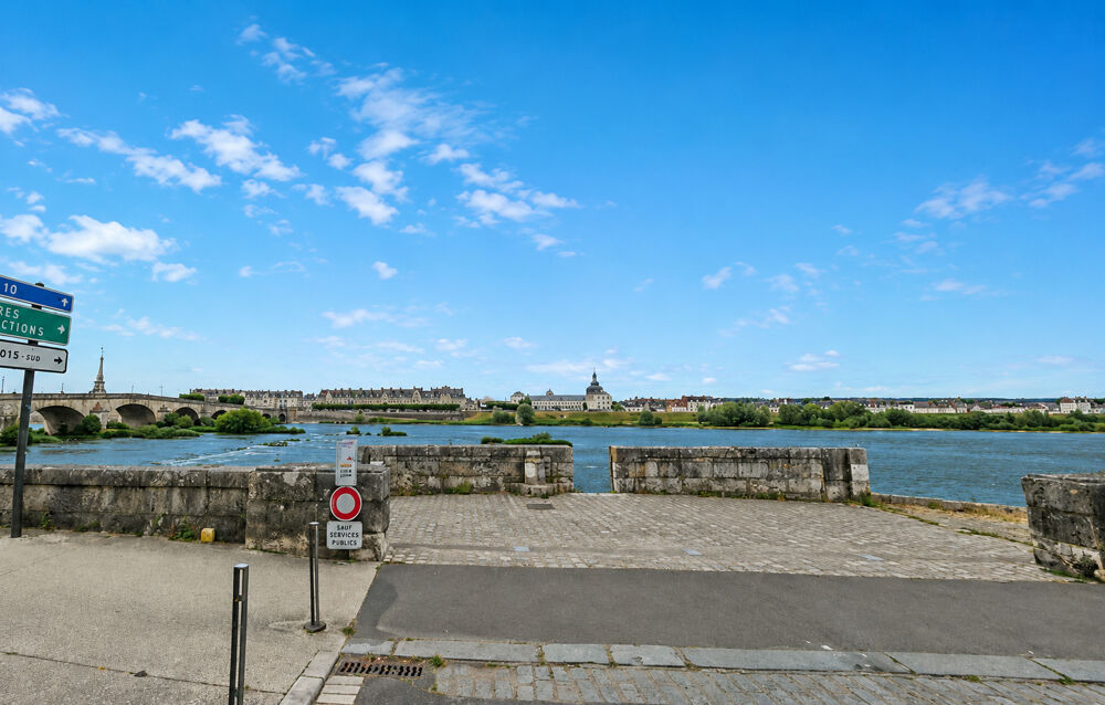 Appartement avec vue imprenable sur la Loire