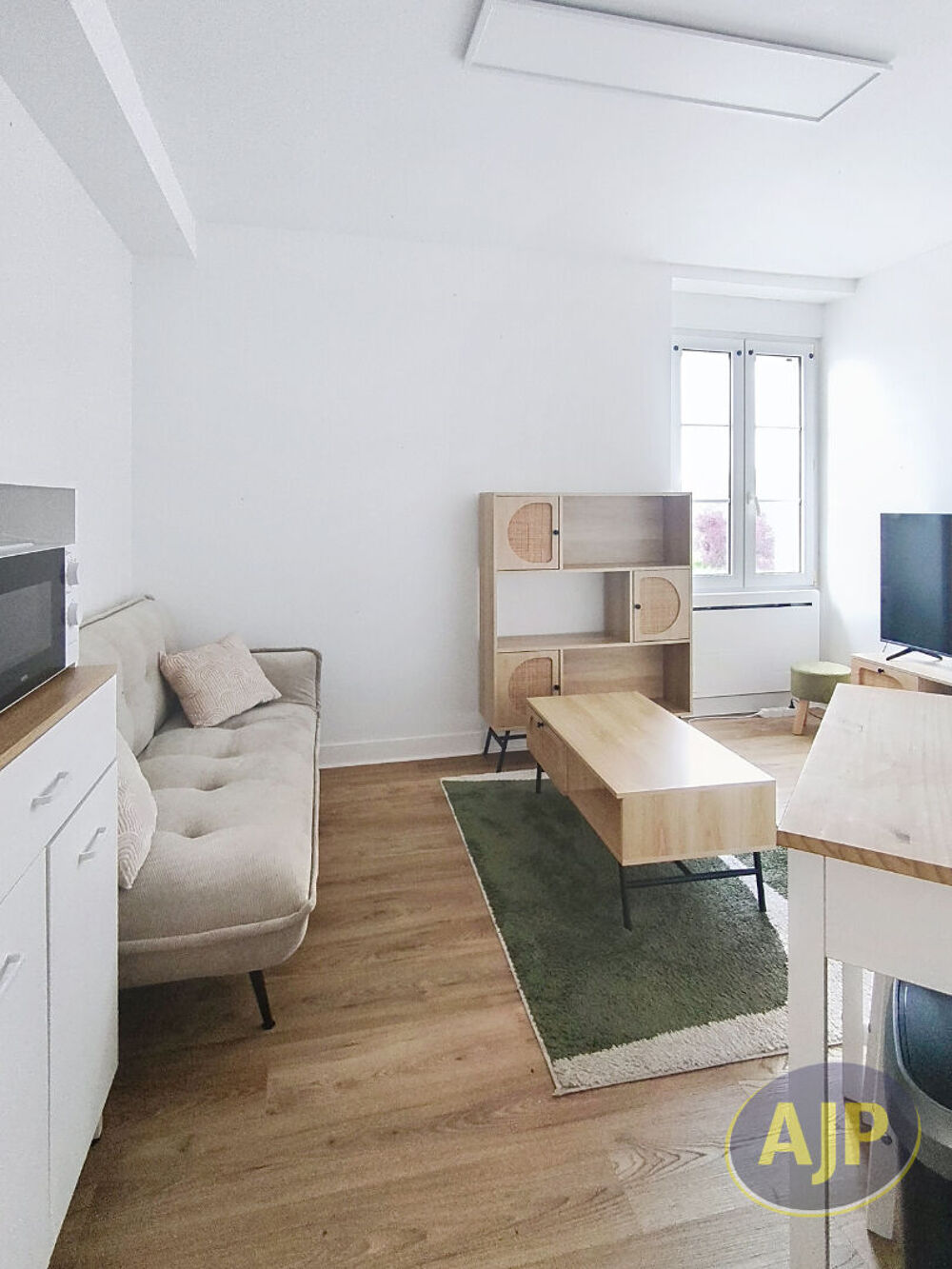 Location Appartement Appartement 1 Chambre - SEGREE Segre en anjou bleu