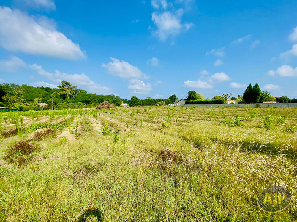 Vente Terrain Terrain Saint Germain D Esteuil 2200 m2 Saint germain d esteuil