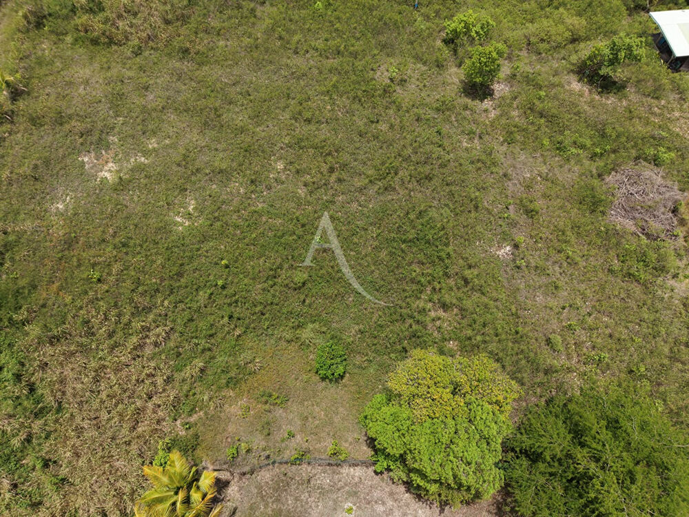 Vente Terrain Grand terrain de 1 520 m² au calme Sainte anne
