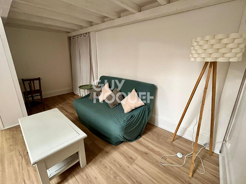 Location Appartement Appartement meublé rénové en coeur de ville Agen