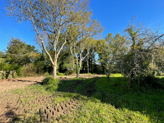  Terrain à vendre 569 m²