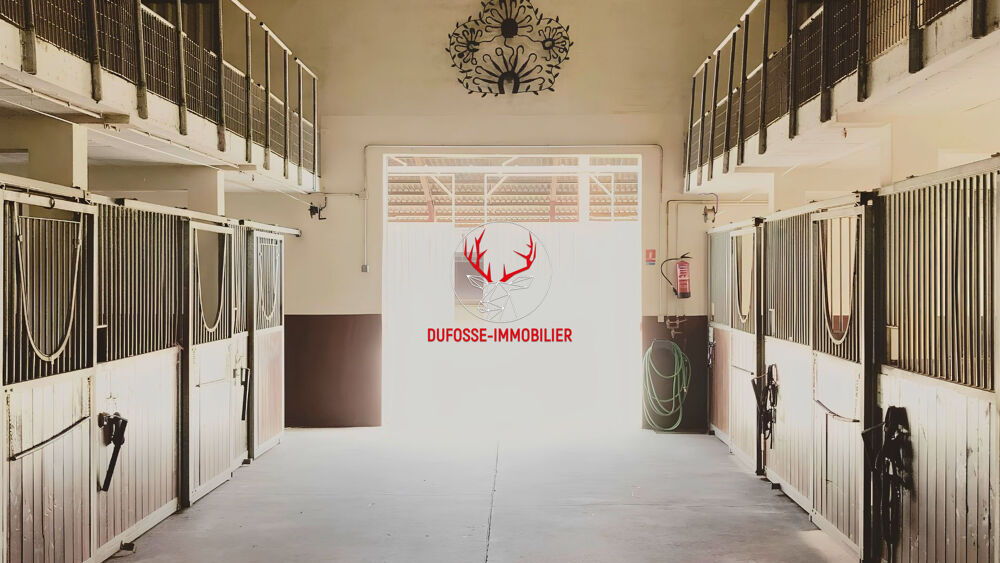 à vendre  Maison Albi (81000)