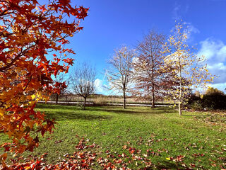  Terrain  vendre 1000 m