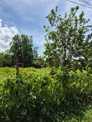  Terrain  vendre 1716 m