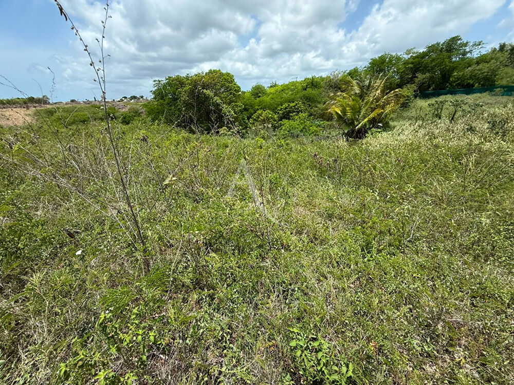 Vente Terrain Grand terrain de 1 520 m² au calme Sainte anne