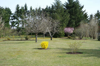  Maison  vendre 9 pices 