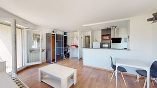  Appartement Maisons-Alfort (94700)