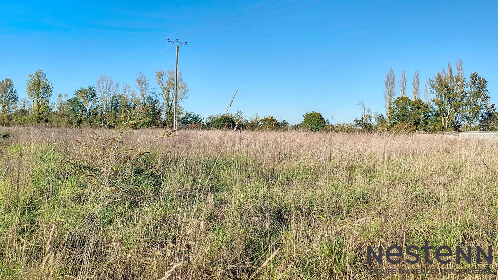 Vente Terrain A Vendre Terrain Plat de plus de 3000 m² vue imprenable sur les Pyrénées Environnement  Campagne Secteur Cazeres Cazeres