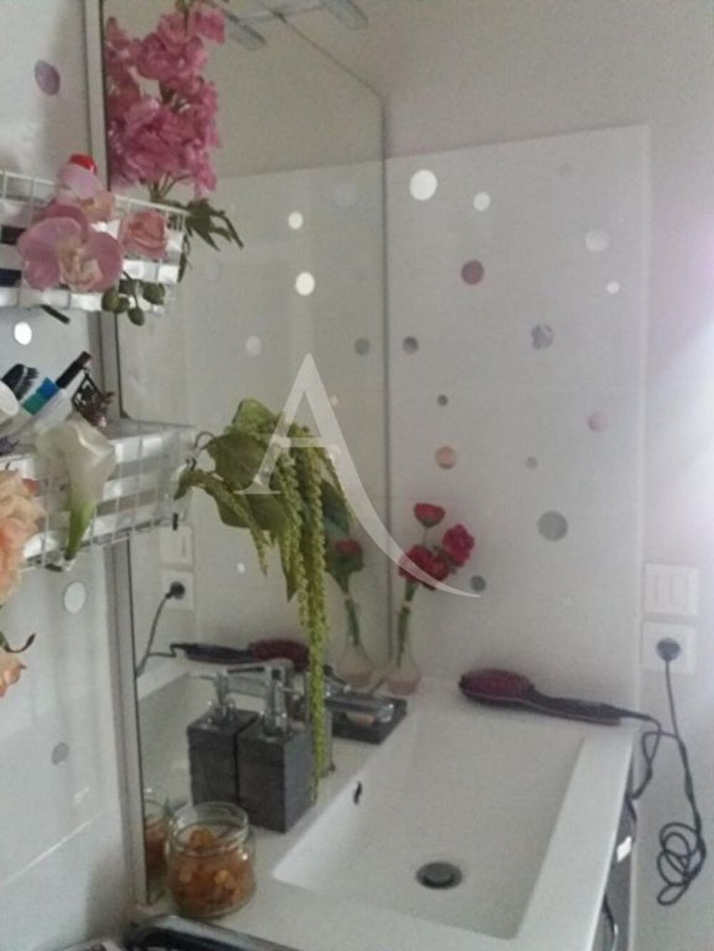 Appartement Albi 1 pièce 19 m²