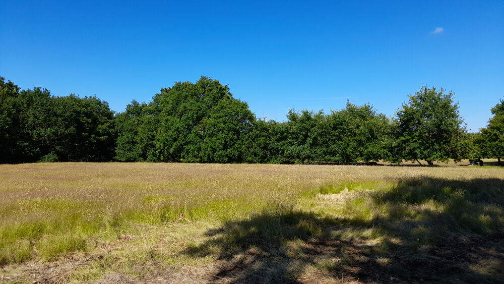 Vente Terrain SAINT VIVIEN - TERRAIN MIXTE    8100 m2 Saint vivien de medoc