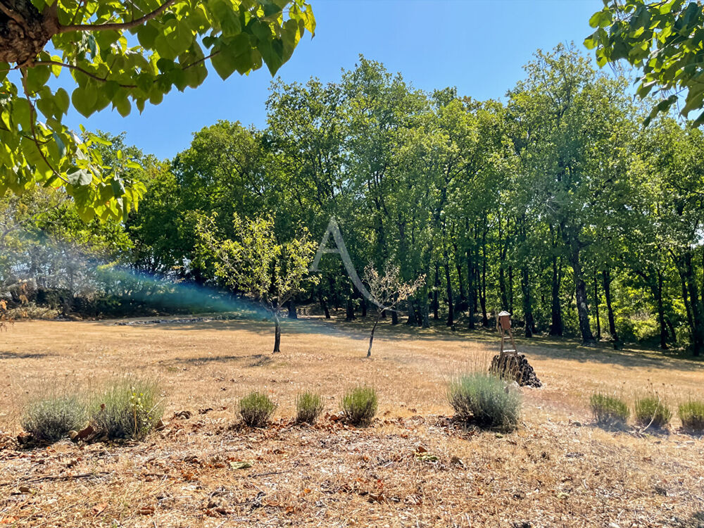 Vente Maison Maison en pierre avec dépendances ! 4 chambres - 7 334 m2 de terrain Montaigu de quercy