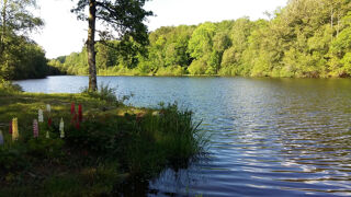  Terrain � vendre 5 pi�ces 116 m�