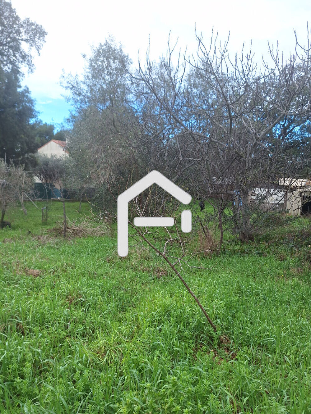 Vente Terrain ( balaruc 34540 )Terrain Balaruc Les Bains constructible 880 m2 lot 2 Balaruc les bains