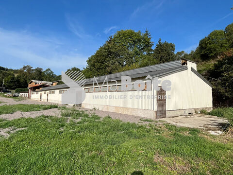 LOCAL 500m² avec terrain de 1000m² 680 42430 Cherier
