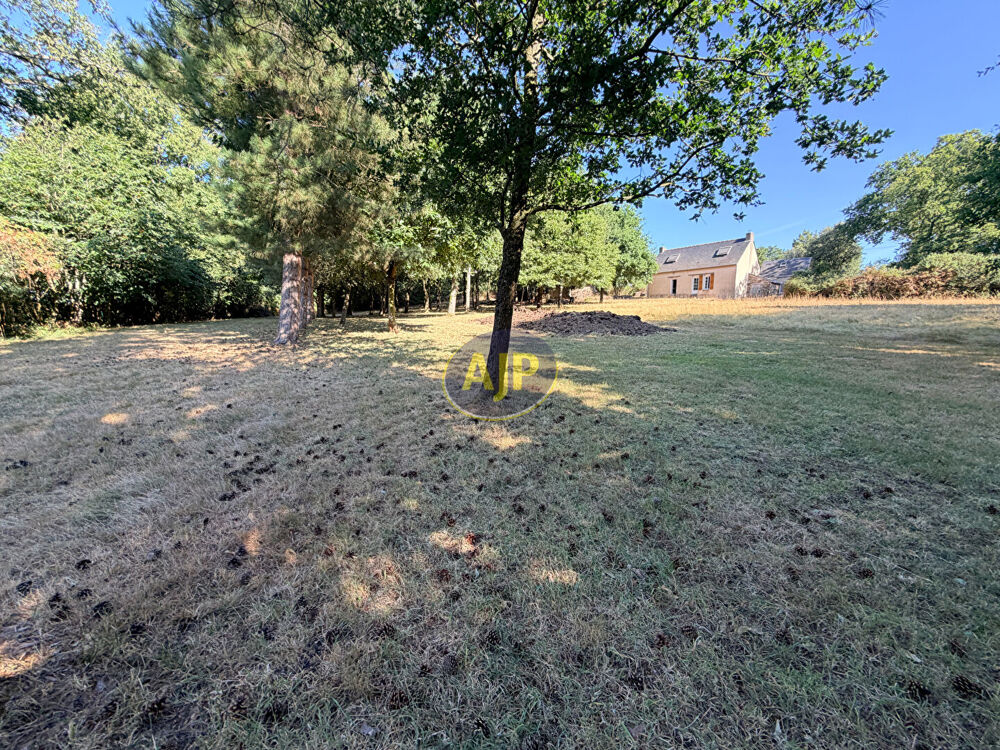 Vente Maison Ensemble GUEMENE-PENFAO Maison, dépendances sur  1 Hectare 4 de terrain Guemene penfao