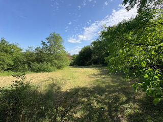  Terrain à vendre 10008 m²