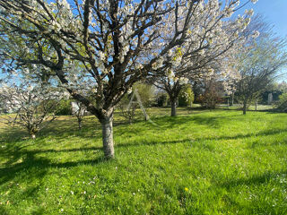  Terrain  vendre 528 m