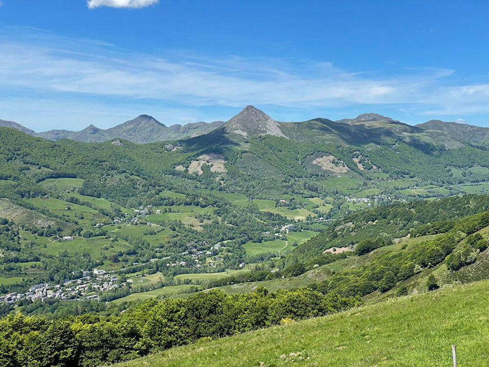 Vente Maison MAGNIFIQUE BURON St jacques des blats
