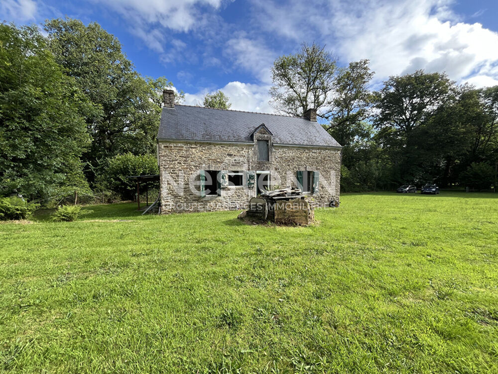 Maison en pierres à vendre, Trédion, potentiel de 150 m², environ 1 hectare de terrain avec bois