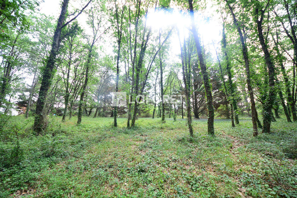Vente Terrain Terrain Secteur Fronton - 11480 m2 Fronton