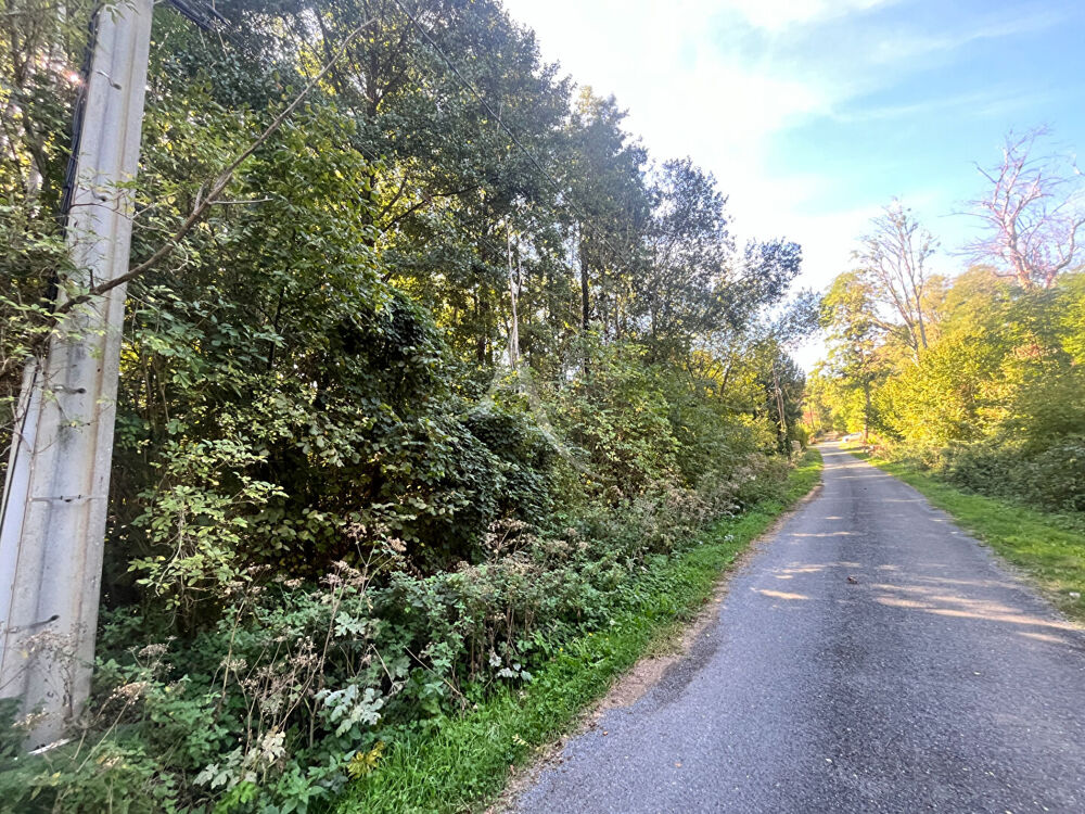 Vente Terrain SAINT MARTIN DE BRETHENCOURT - TERRAIN A BATIR Dourdan