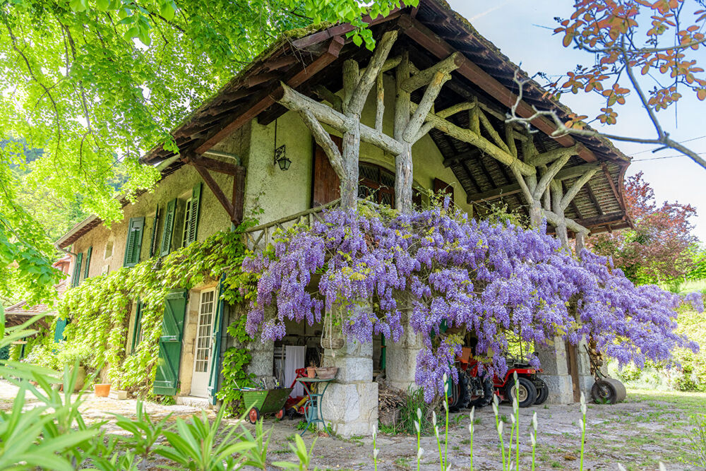 � vendre  Maison Belley (01300)