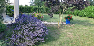  Maison � vendre 7 pi�ces 195 m�