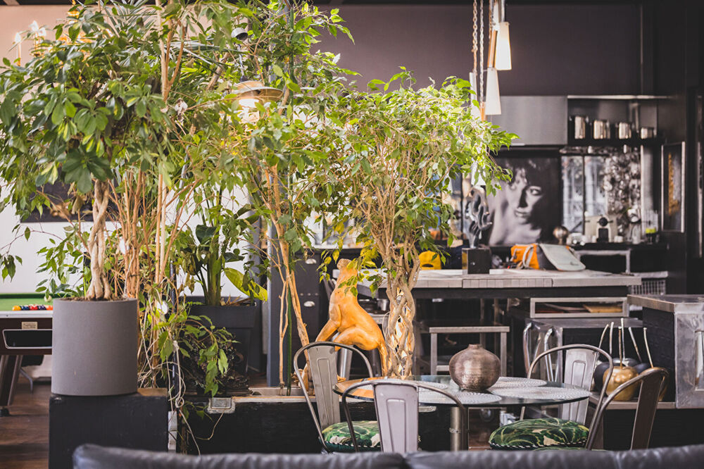 Vente Appartement VILLEMOMBLE, Loft 268m2, 6 pièces Villemomble