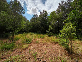  Terrain � vendre 3120 m�