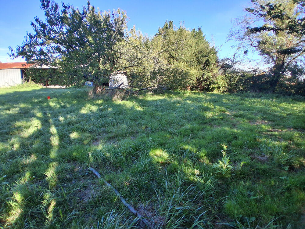 Vente Terrain Terrain à bâtir dans un ensemble de 1086 M2  dont 373 M2 Constructibles La gripperie st symphorien