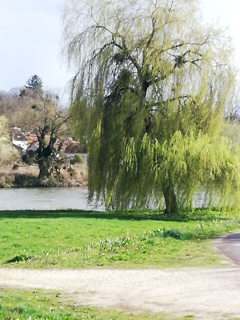   MAISON BORD DE SAONE Maison - 11 pi�ce(s) - 380 m�