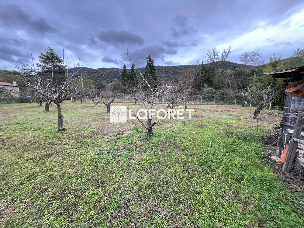 Vente Terrain Terrain agricole de 6962m² Ceret